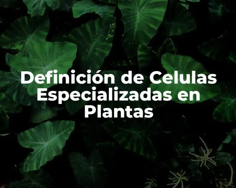 Definición de Celulas Especializadas en Plantas