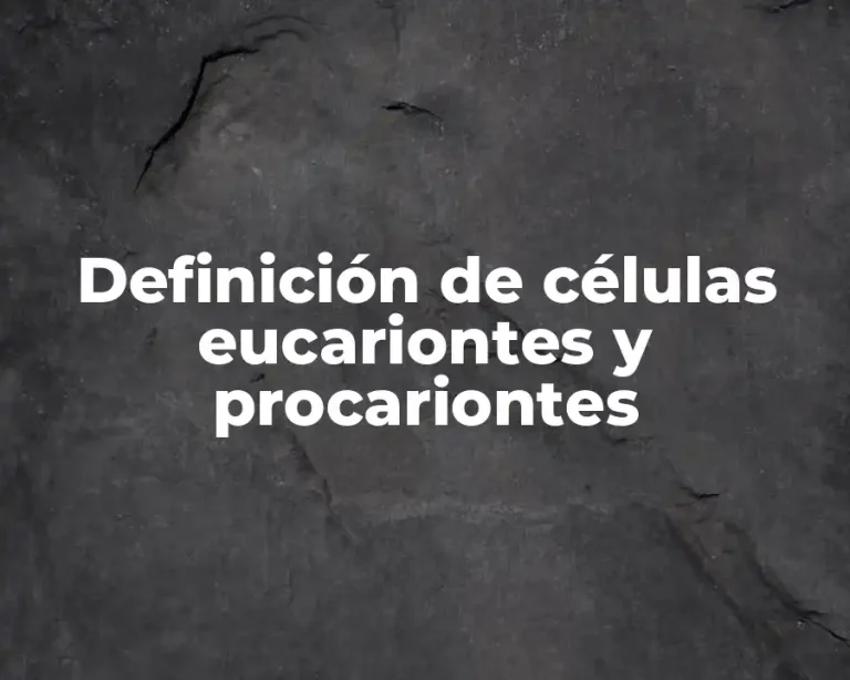 Definición de células eucariontes y procariontes