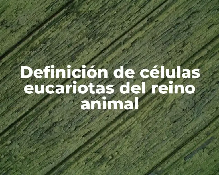 Definición de células eucariotas del reino animal