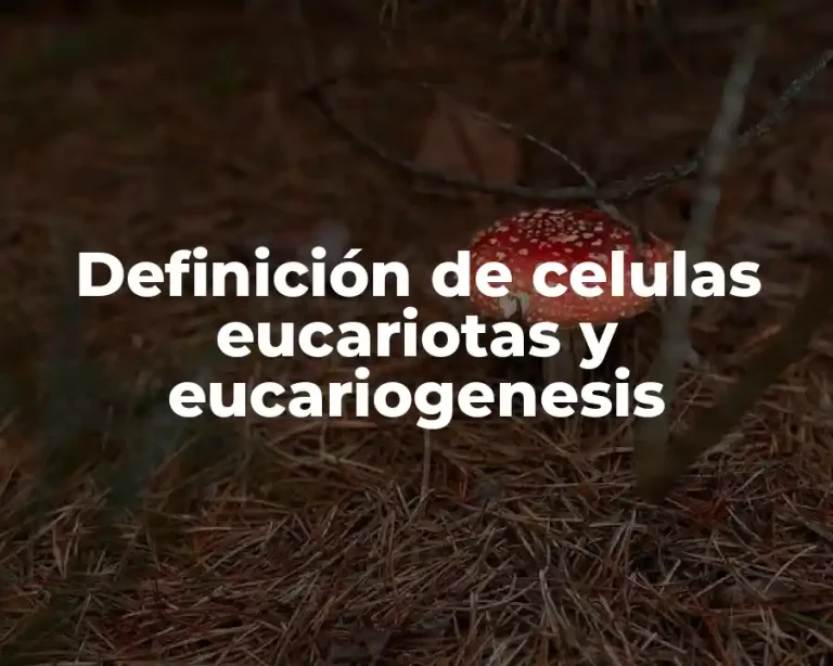 Definición de celulas eucariotas y eucariogenesis