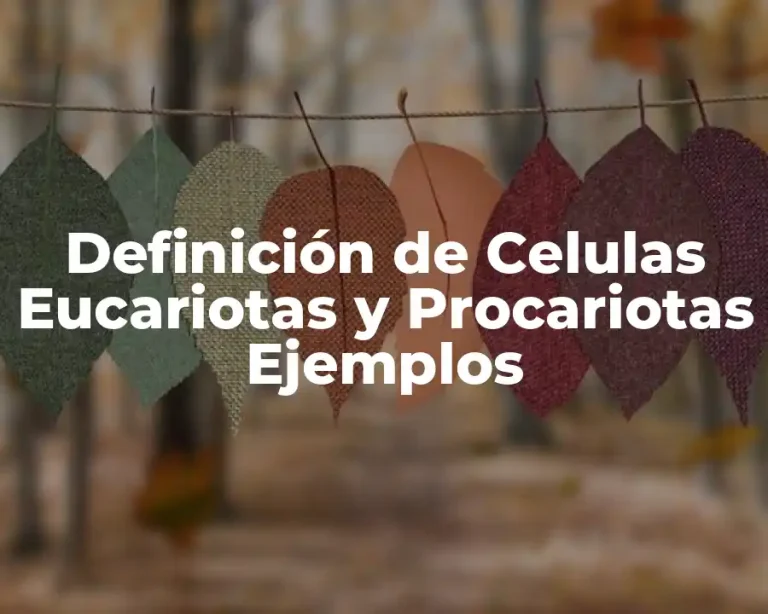 Definición de Celulas Eucariotas y Procariotas Ejemplos