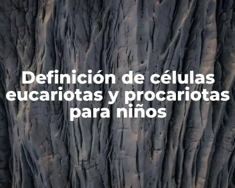 Definición de células eucariotas y procariotas para niños