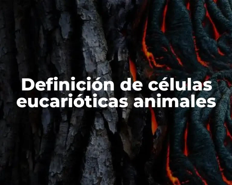 Definición de células eucarióticas animales