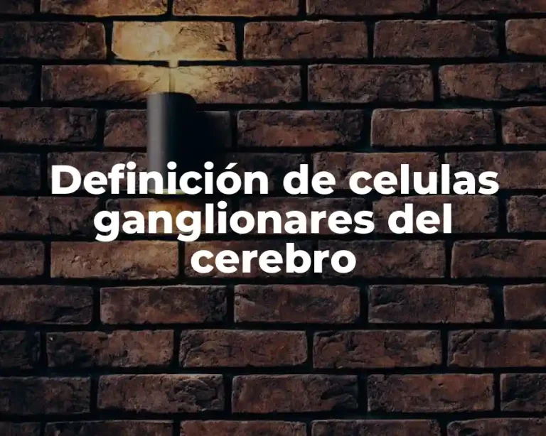 Definición de celulas ganglionares del cerebro