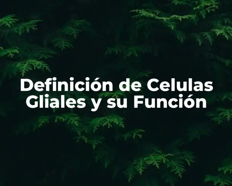 Definición de Celulas Gliales y su Función