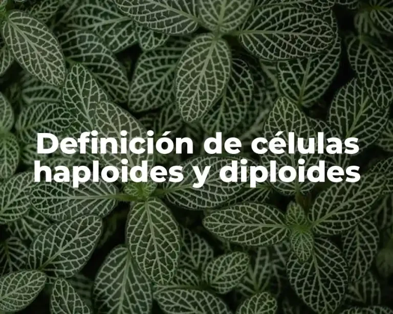 Definición de células haploides y diploides