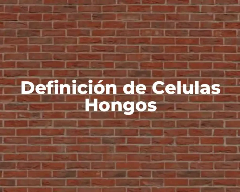 Definición de Celulas Hongos
