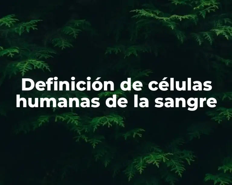 Definición de células humanas de la sangre