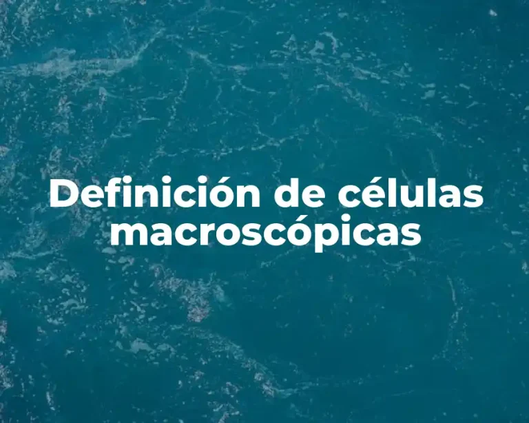 Definición de células macroscópicas