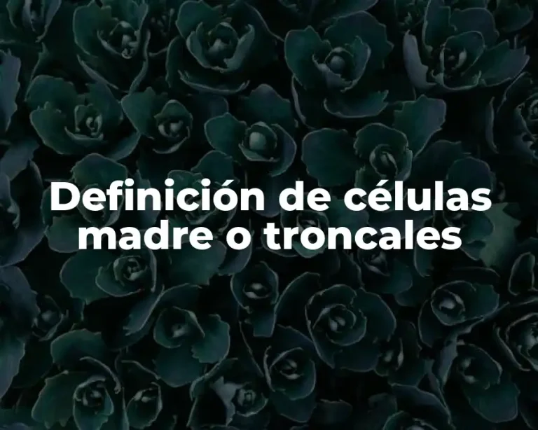 Definición de células madre o troncales