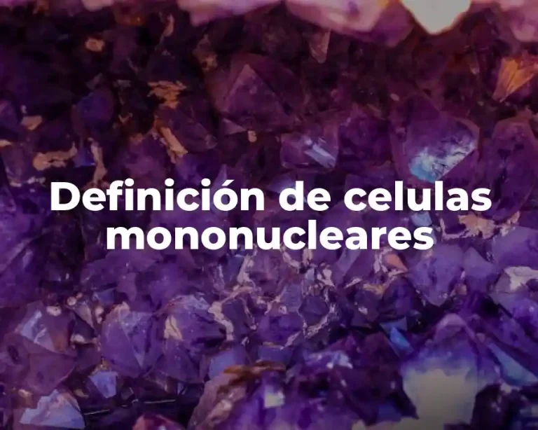 Definición de celulas mononucleares