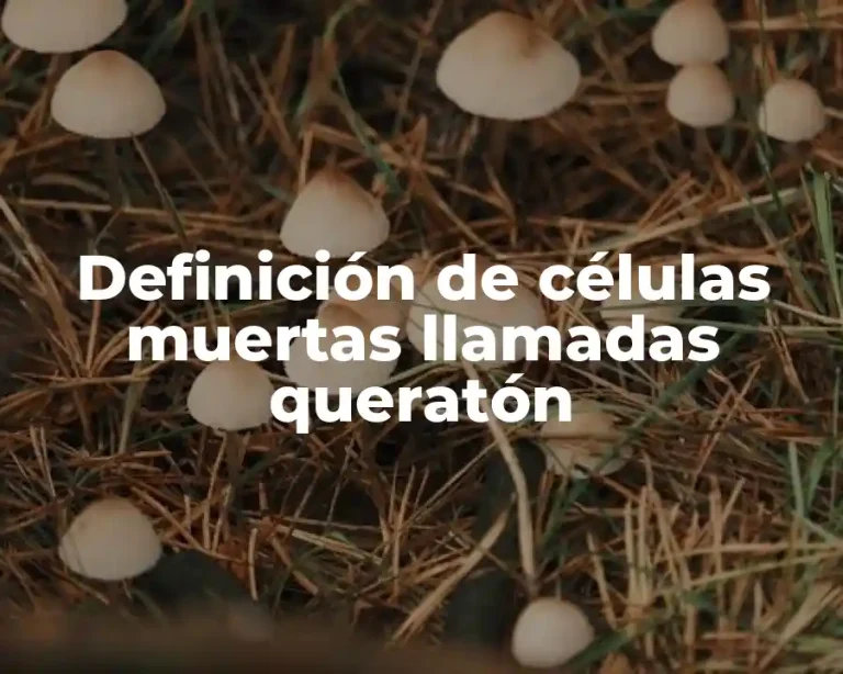 Definición de células muertas llamadas queratón