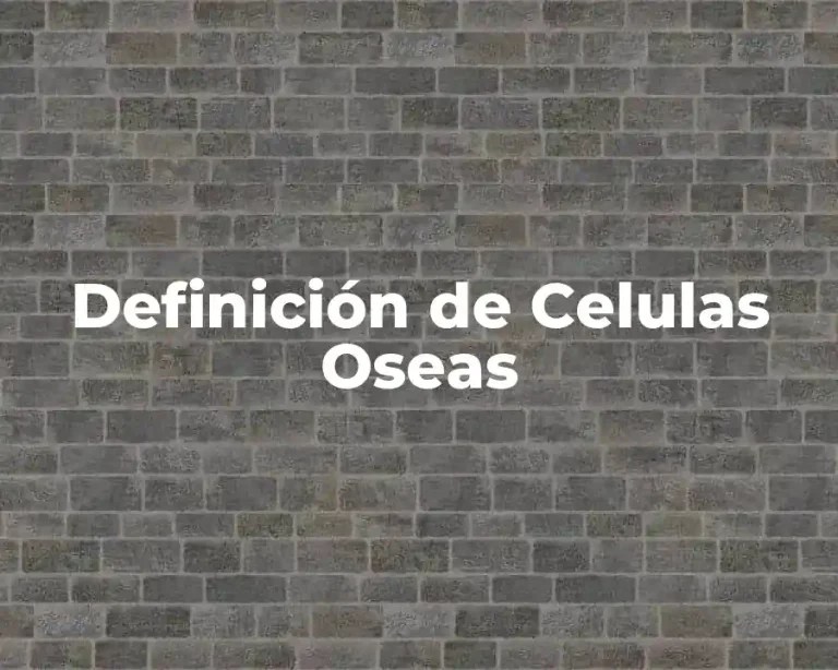 Definición de Celulas Oseas