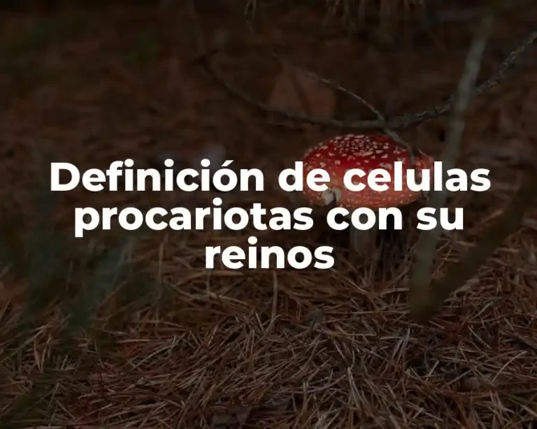 Definición de celulas procariotas con su reinos
