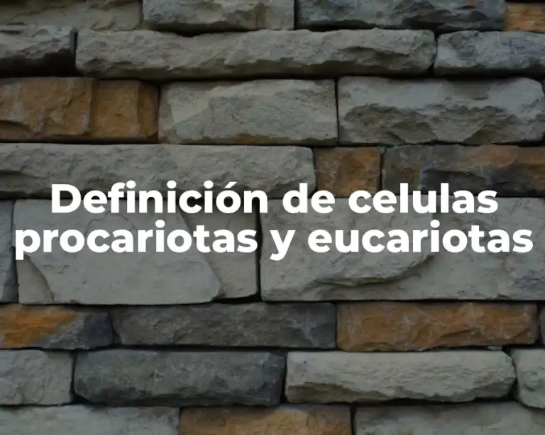 Definición de celulas procariotas y eucariotas