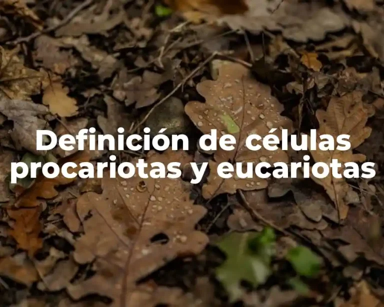Definición de células procariotas y eucariotas