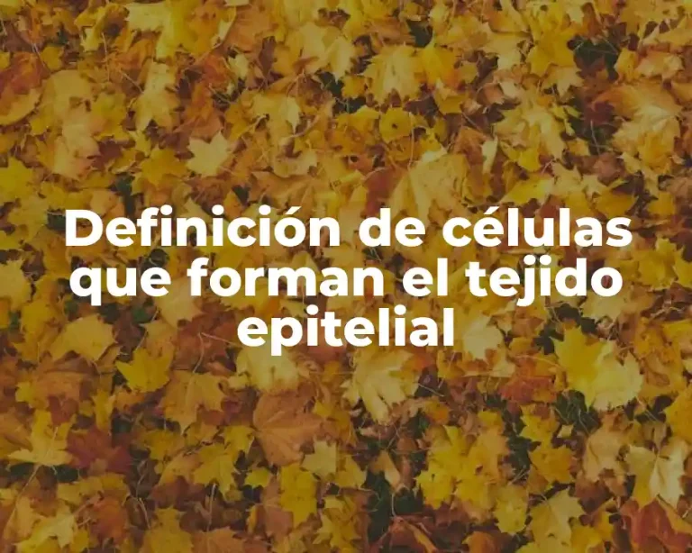 Definición de células que forman el tejido epitelial