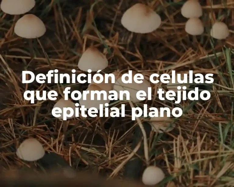 Definición de celulas que forman el tejido epitelial plano