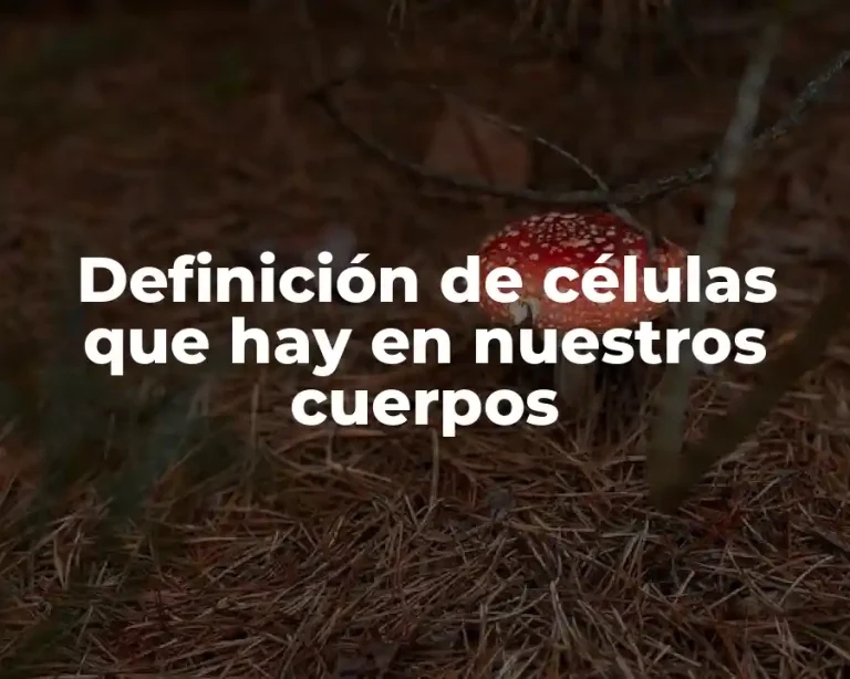 Definición de células que hay en nuestros cuerpos