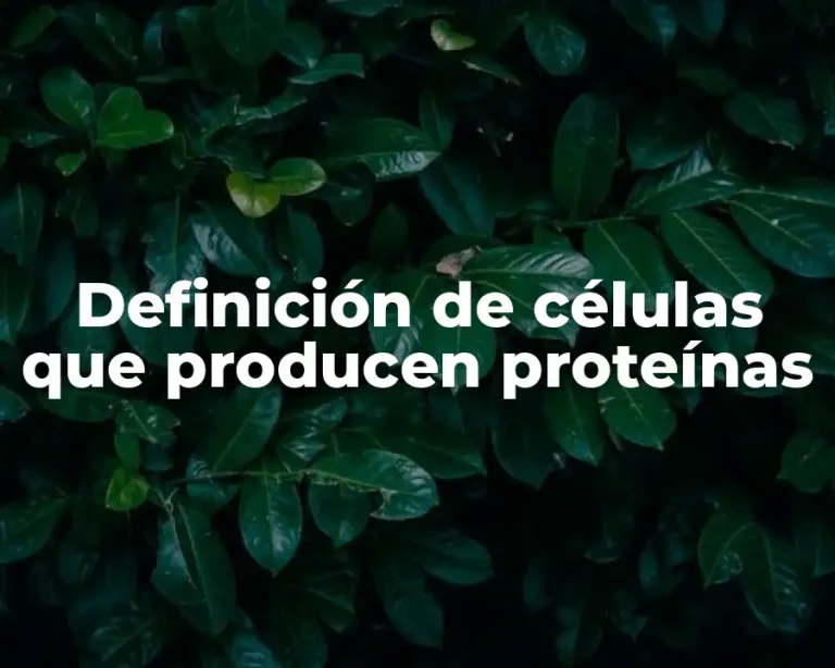 Definición de células que producen proteínas