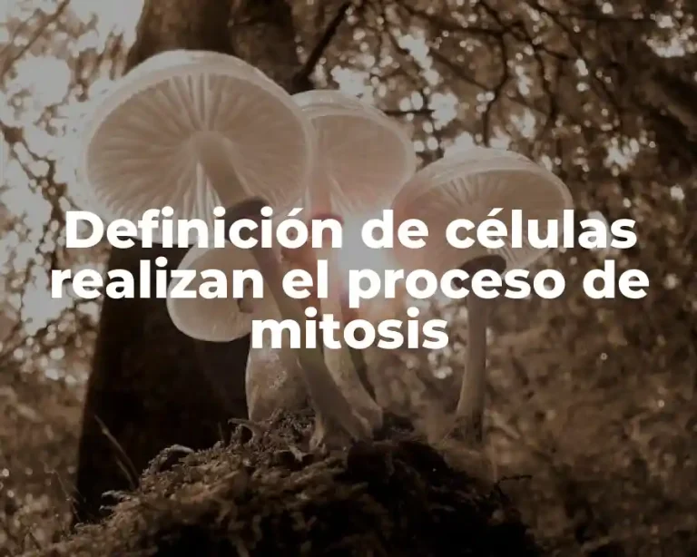 Definición de células realizan el proceso de mitosis