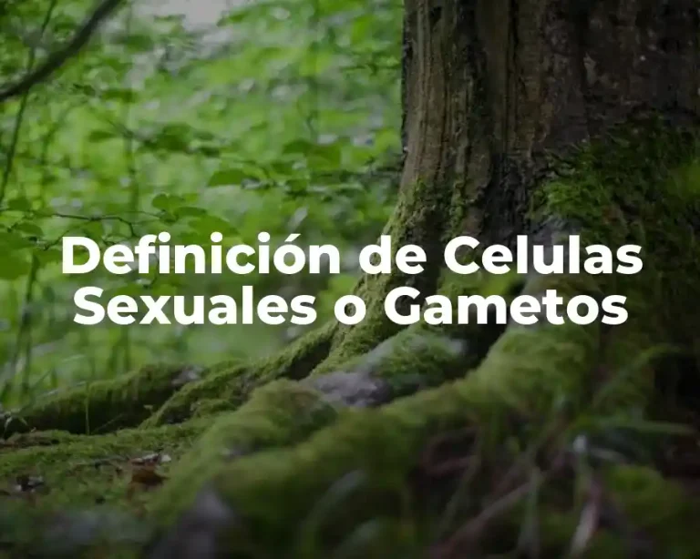 Definición de Celulas Sexuales o Gametos