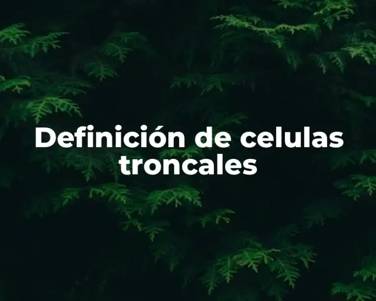 Definición de celulas troncales