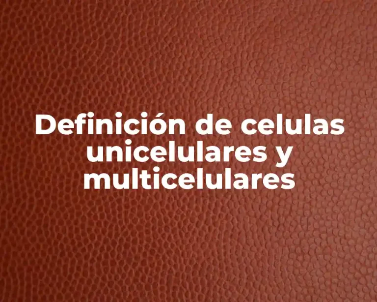 Definición de celulas unicelulares y multicelulares
