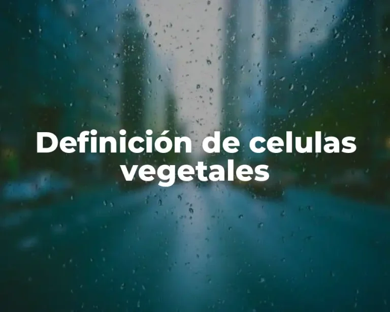 Definición de celulas vegetales