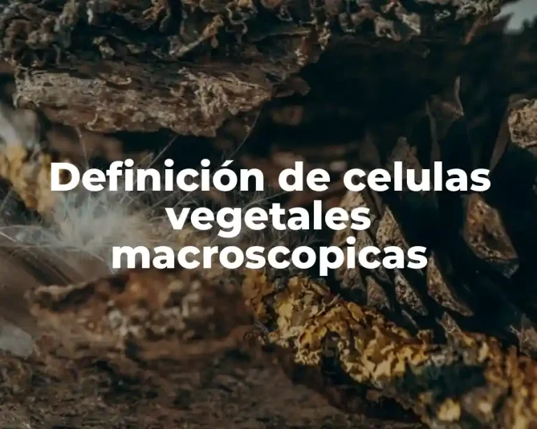 Definición de celulas vegetales macroscopicas