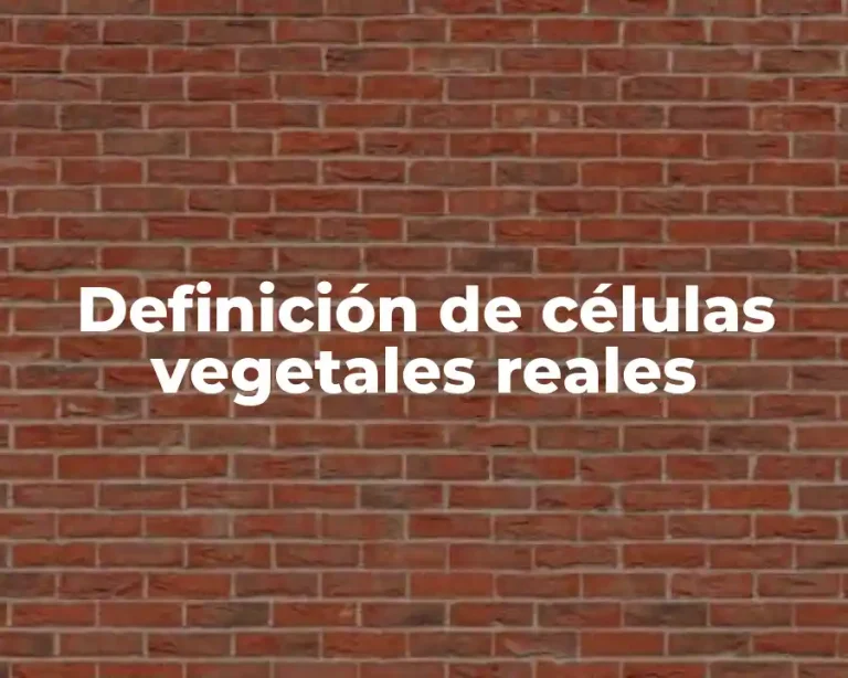Definición de células vegetales reales