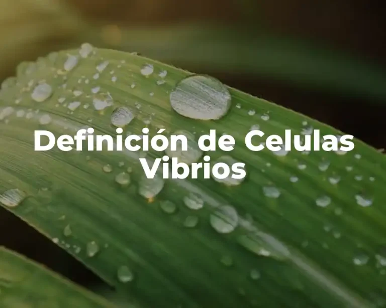 Definición de Celulas Vibrios