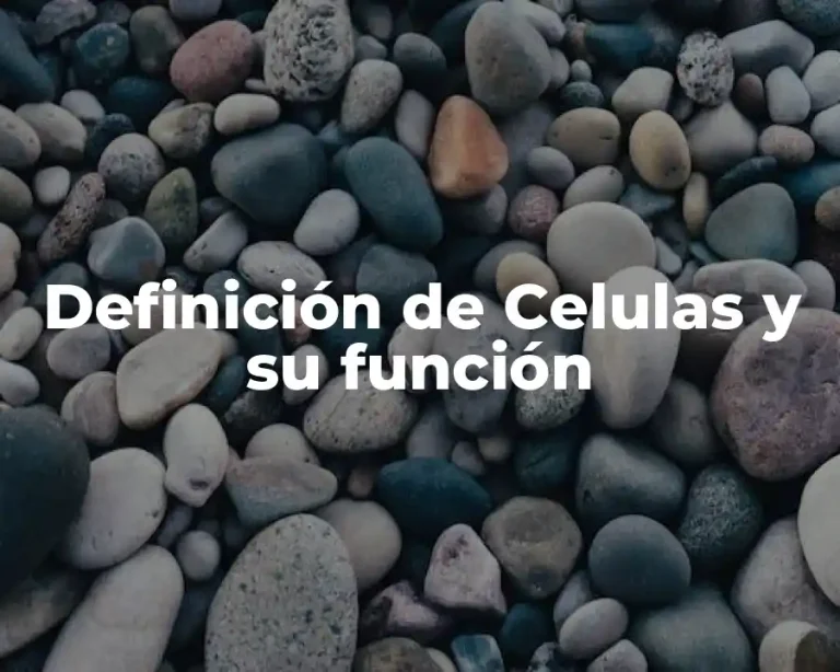 Definición de Celulas y su función