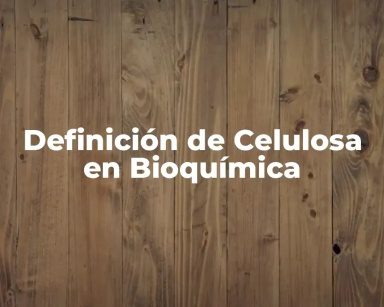 Definición de Celulosa en Bioquímica