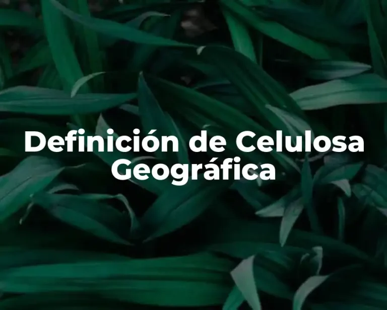 Definición de Celulosa Geográfica
