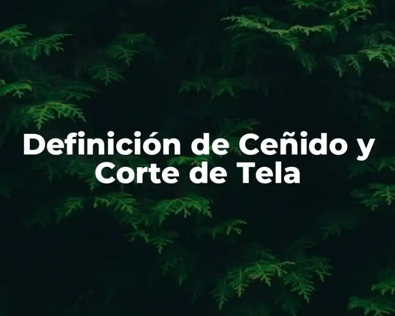 Definición de Ceñido y Corte de Tela