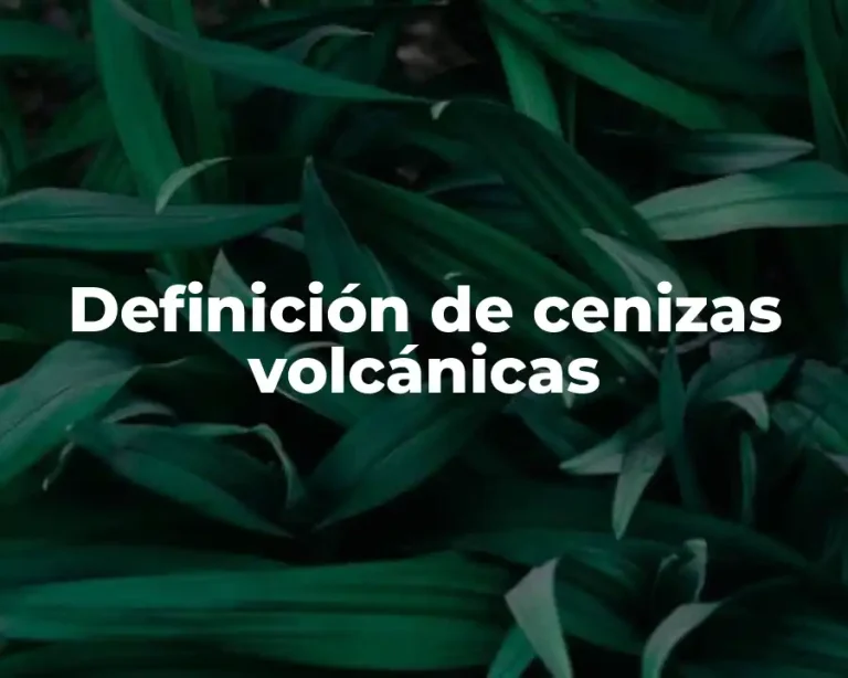Definición de cenizas volcánicas