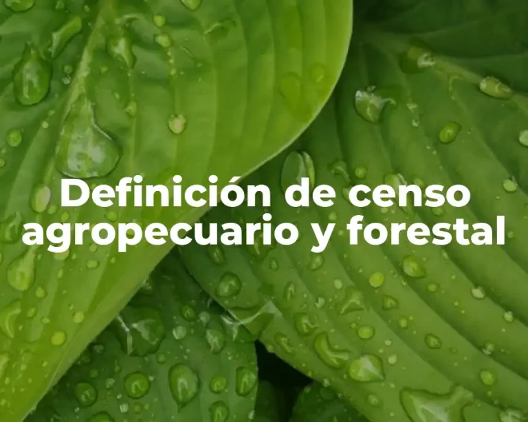Definición de censo agropecuario y forestal