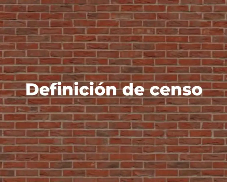 Definición de censo