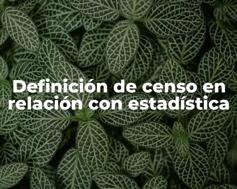 Definición de censo en relación con estadística