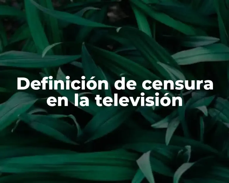 Definición de censura en la televisión