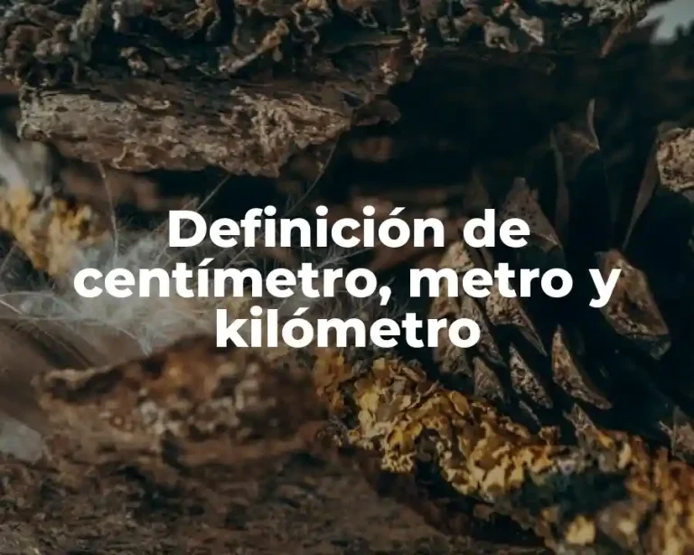 Definición de centímetro, metro y kilómetro