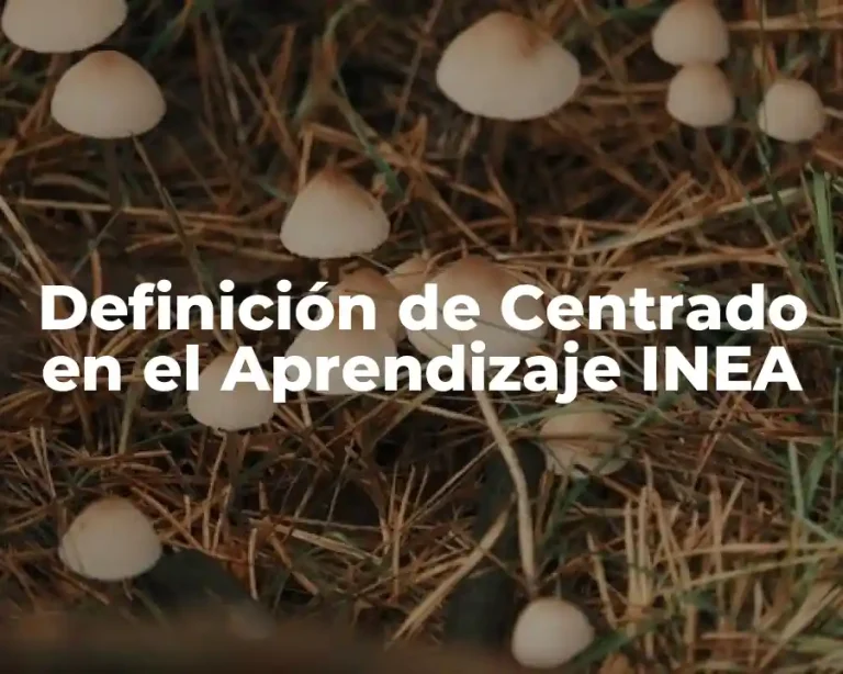Definición de Centrado en el Aprendizaje INEA