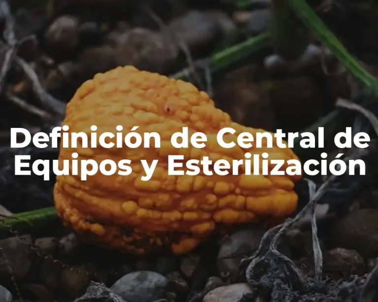 Definición de Central de Equipos y Esterilización