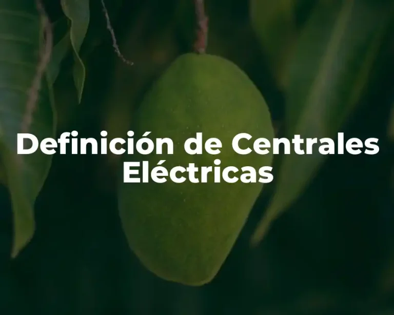 Definición de Centrales Eléctricas