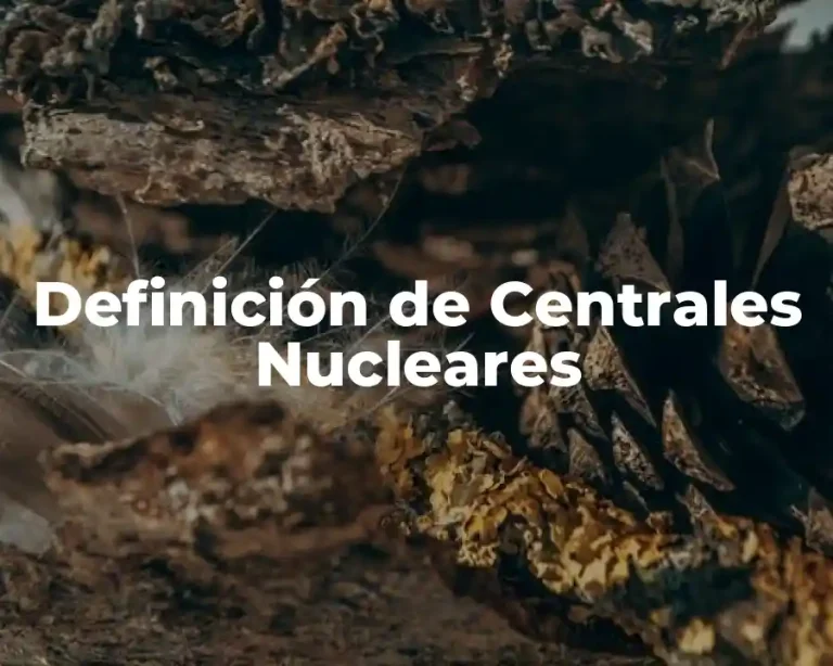 Definición de Centrales Nucleares