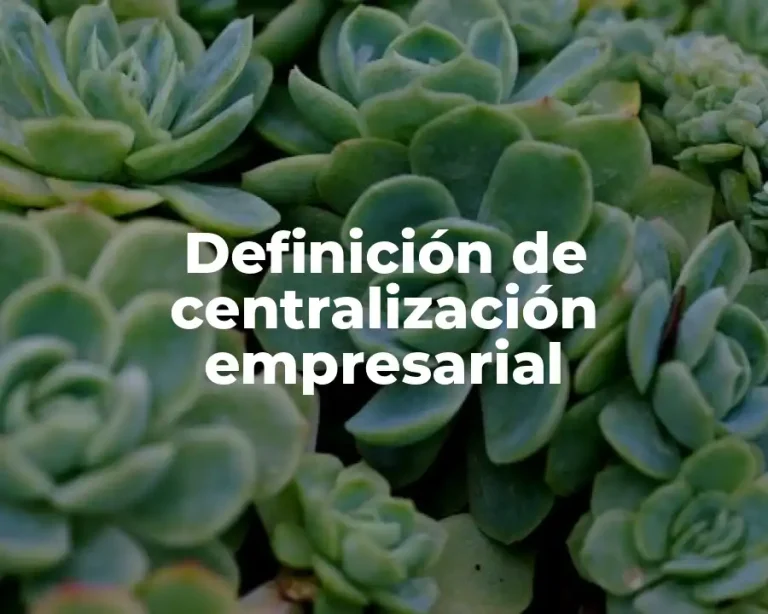 Definición de centralización empresarial