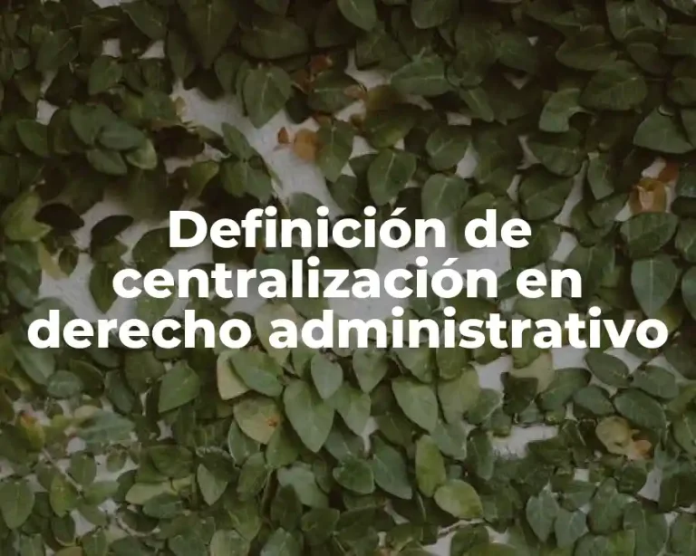 Definición de centralización en derecho administrativo
