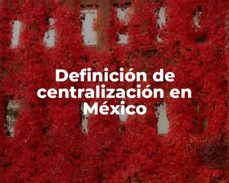 Definición de centralización en México
