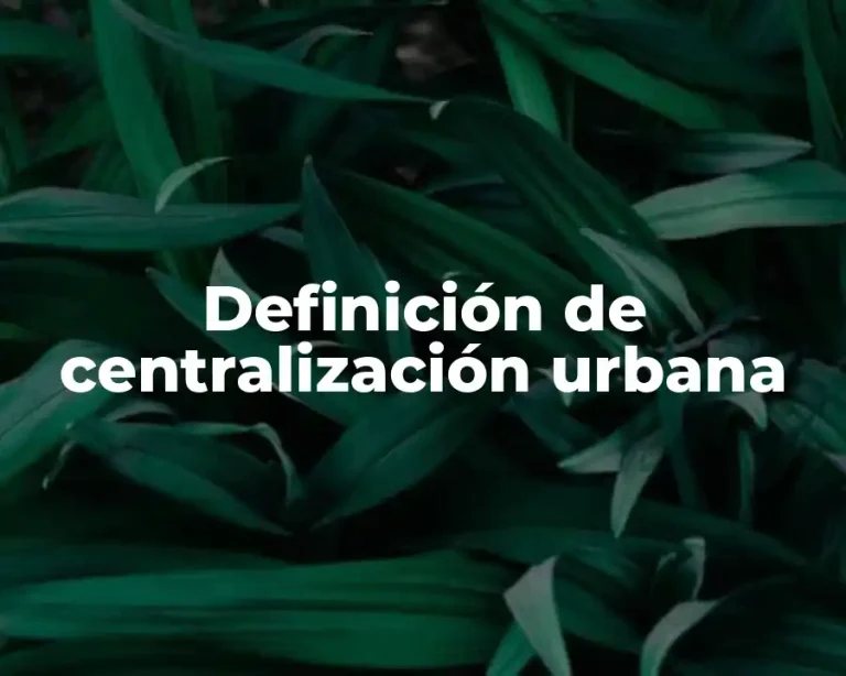 Definición de centralización urbana